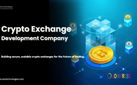 Cryptocurrencies in the Global Financial System: Problems and Ways to Overcome Them