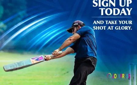 Start Your Cricket Journey with DLI - Biggest Tennis Ball Cricket League of India