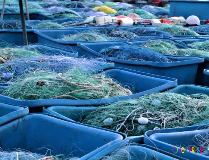 Aquaculture Market Is Helping Reduce Pressure On Wild Fisheries