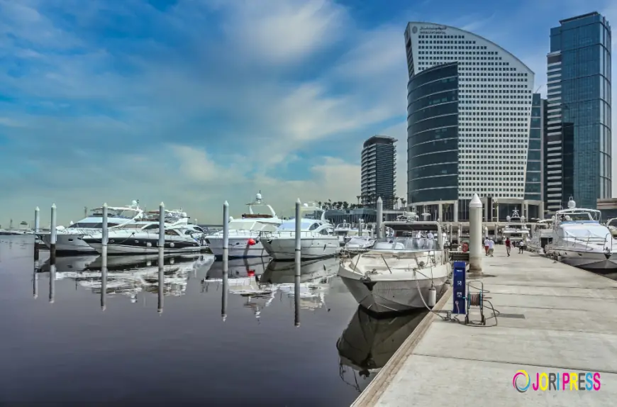 Key Marina Industry Trends Driving Modern Marine Businesses