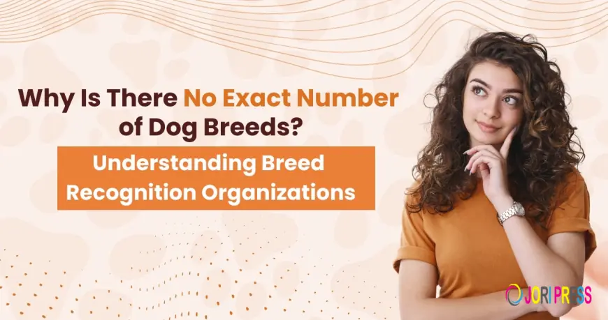 Why Is There No Exact Number of Dog Breeds? Understanding Breed Recognition Organizations