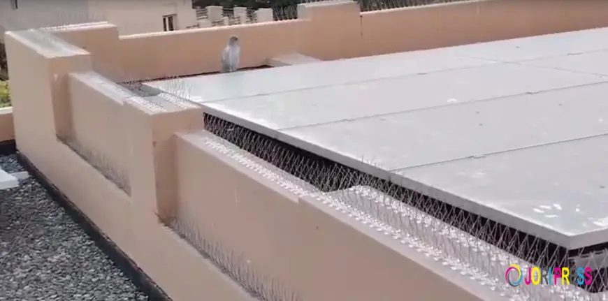 Stainless Steel Bird Spikes – The Ultimate Pigeon Control Solution in Dubai