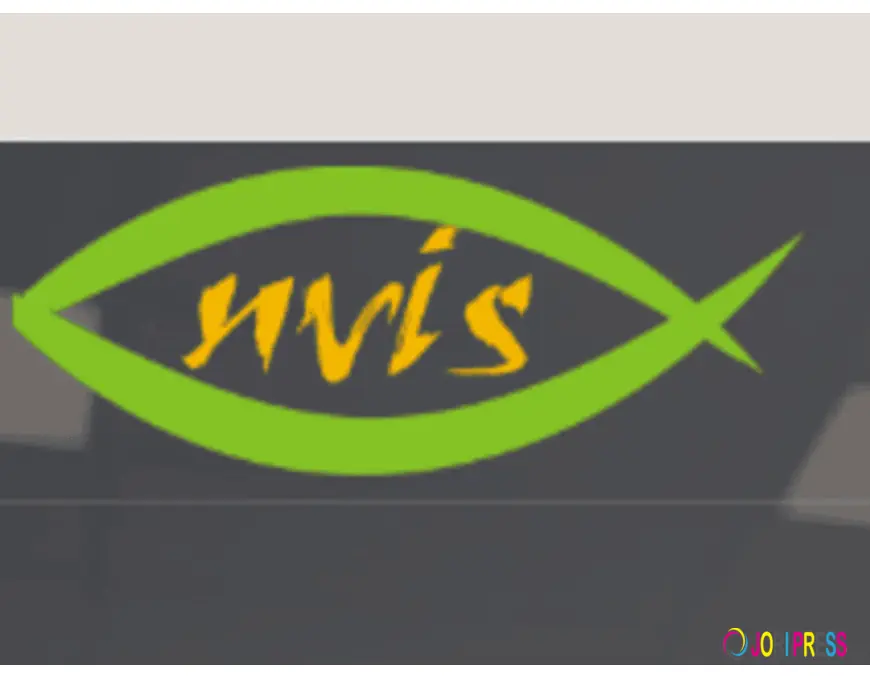 Digital Oscilloscope Price Range: What Do You Get at Each Budget?