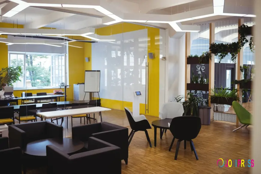 How the Right Commercial Interior Design Can Transform Business Spaces in Noida