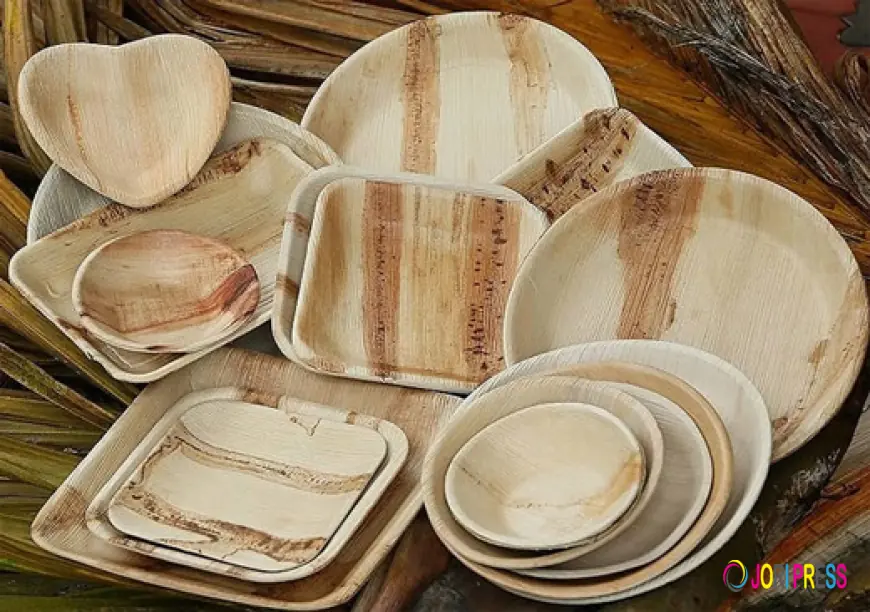Best Areca Plate Manufacturers in India