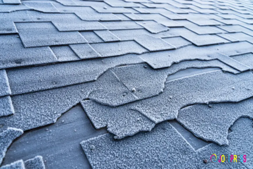 Affordable Roof Leak Repair by Certified Professionals