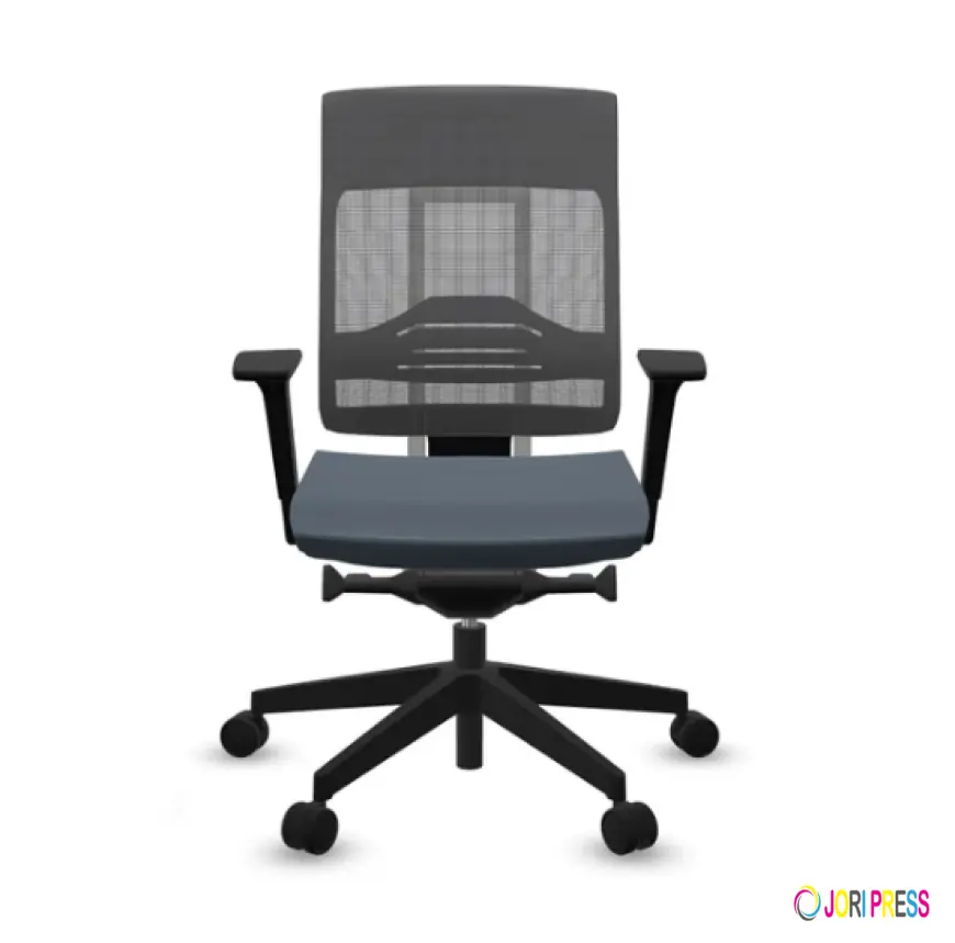 Lower Back Pain Office Causes, Prevention & Ergonomic Solutions