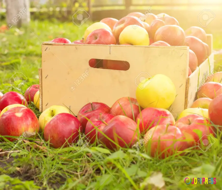 Apple Concentrate Market Focus: Enabling Reliable And Natural Food Production