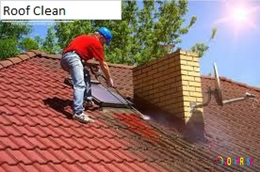 Is Your Roof Asking for Professional Care? Get Trusted Roof Cleaning Services in Mossel Bay