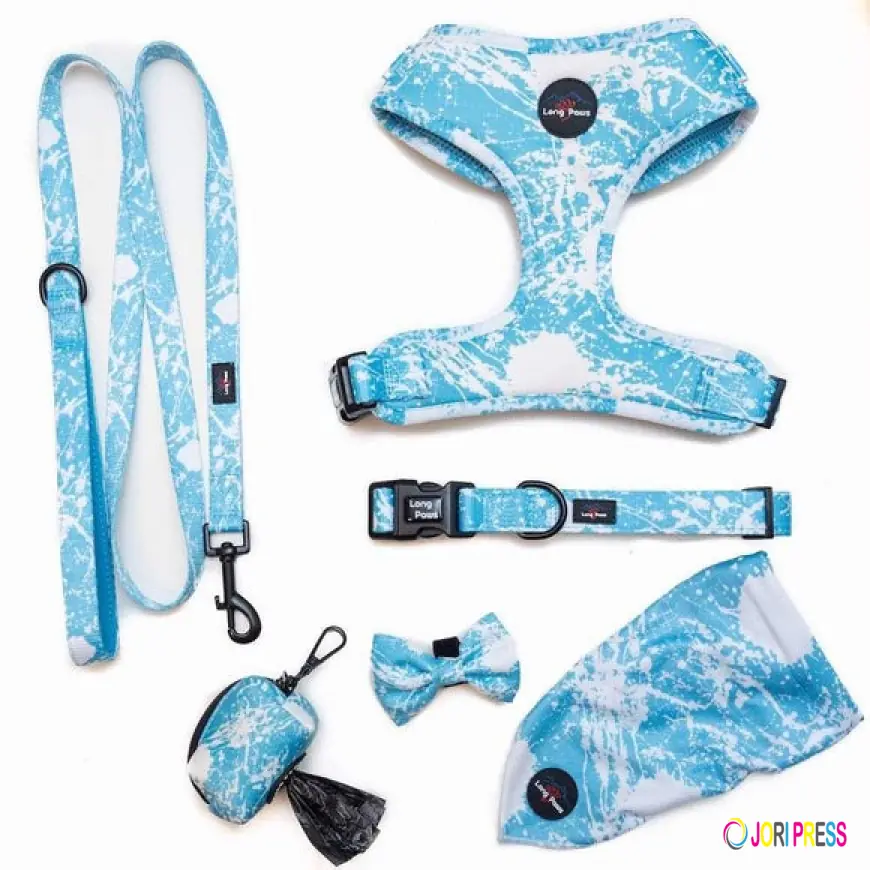 Choosing the Right Walking Gear for Your Dog: From Puppy Harnesses to Rope Dog Leads