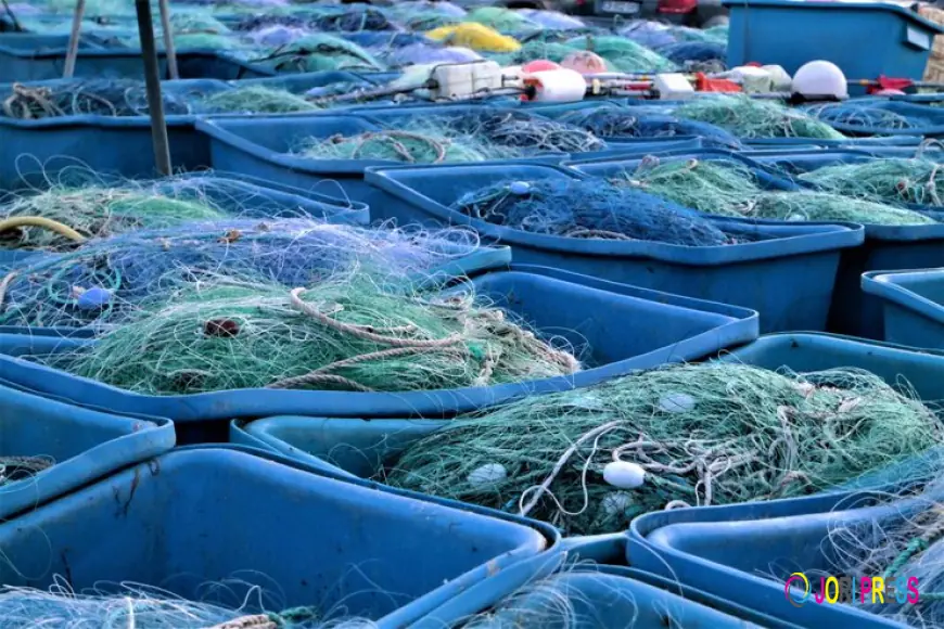 Aquaculture Market Is Helping Reduce Pressure On Wild Fisheries