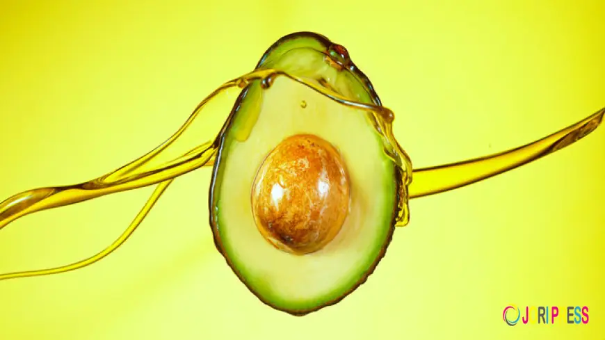 Avocado Oil Market Strengthening With Growing Demand Across Food And Beauty Sectors