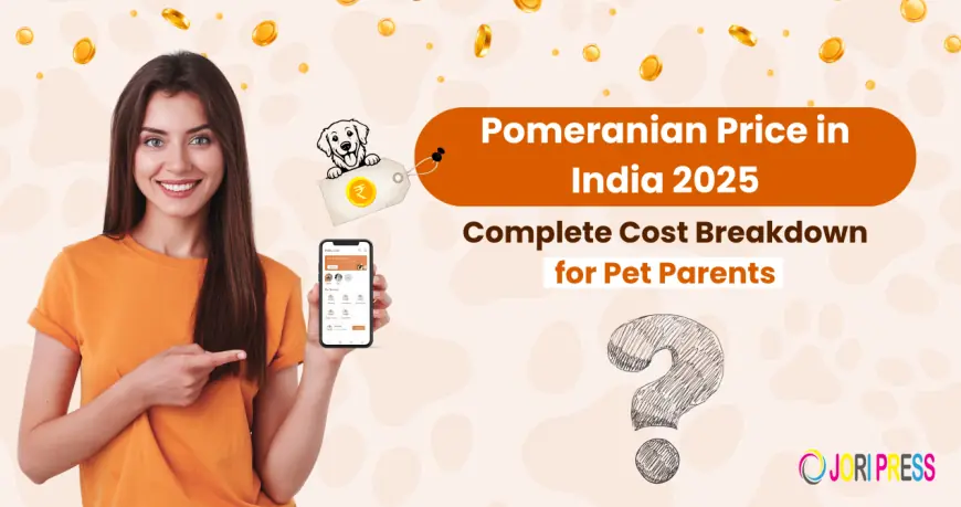 Pomeranian Price in India 2026: Complete Cost Breakdown for Pet Parents