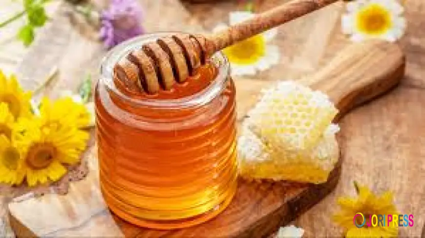 Honey Market Impacting Factors: Key Elements Influencing Industry Growth