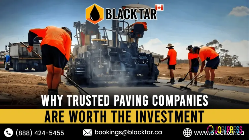 Why Trusted Paving Companies Are Worth the Investment