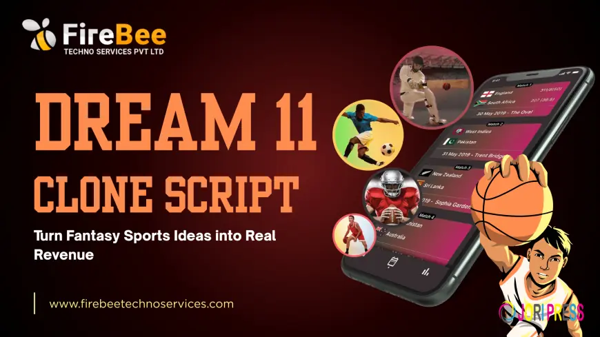 How Dream11 Clone Script Helps Startups Build Profitable Fantasy Sports Platforms