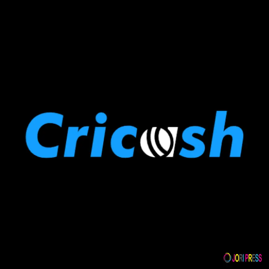 Cricash Online Experience for Smooth and Organized Browsing