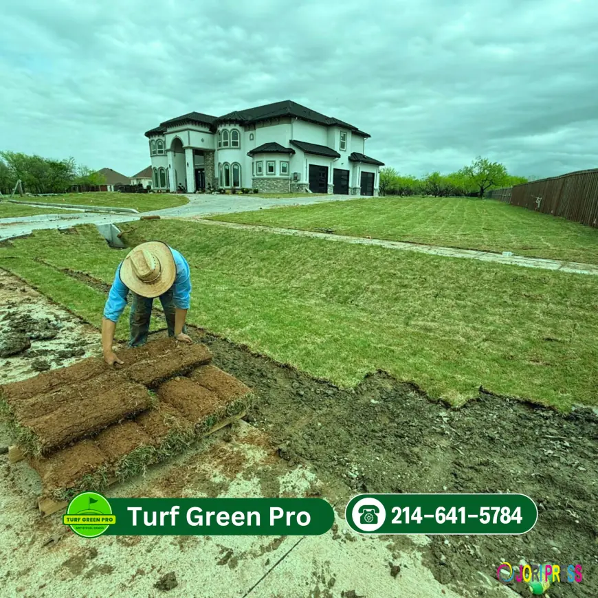 Best and top-quality French Drain Installation in Richardson