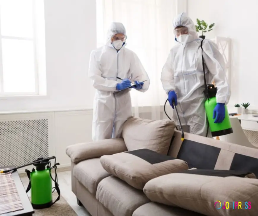 One Roof Fumigation Services