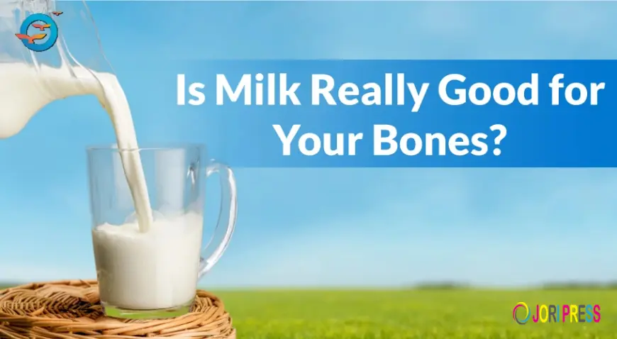Milk and Bone Health: What Science Really Says