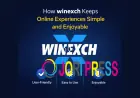 How winexch Keeps Online Experiences Simple and Enjoyable