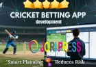 How Smart Planning Reduces Risk in Cricket Contest App Projects