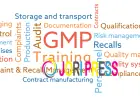 Comprehensive GMP & Regulatory Compliance Services in USA: Strengthening Quality, Compliance, and Inspection Readiness