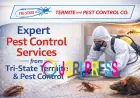 Reliable Solutions for a Pest-Free Home With Trusted Experts in Oxford
