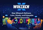 How winexch Delivers Calm, Steady, and Enjoyable Online Interaction