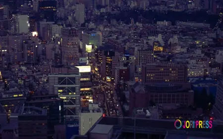 Evening Events and Night Travel in Orlando: Why Professional Transportation Matters