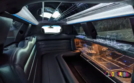 The Value of Professional Limousine Services in Today’s Travel Needs