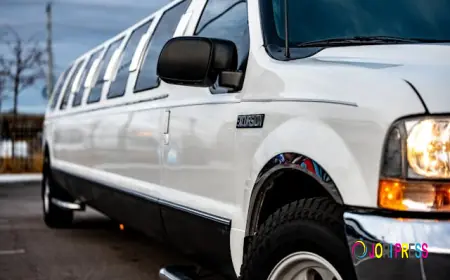 Choosing a Professional Denver Limo Service for Comfortable and Reliable Transportation
