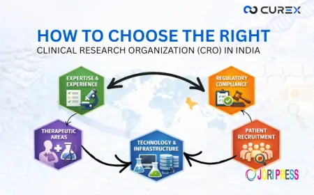 How to Choose the Right CRO in India: A Strategic Guide