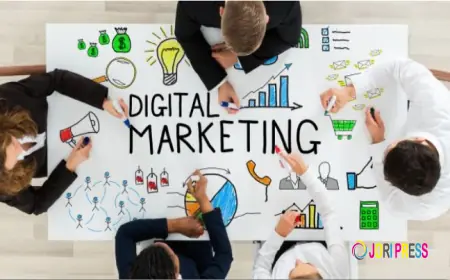 Digital Marketing Agency Near Me