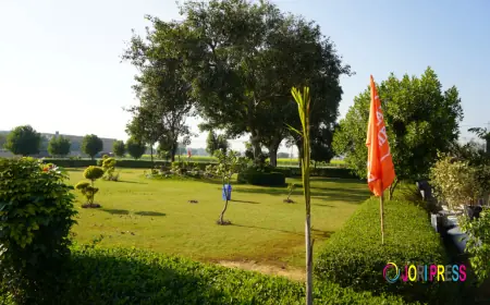 Buy Plot Near Jewar Airport – Secure Your Future Investment with Maxpine Group