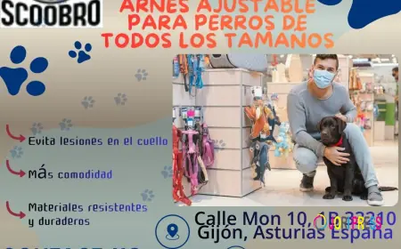 El equilibrio perfecto entre control y bienestar para tu perro