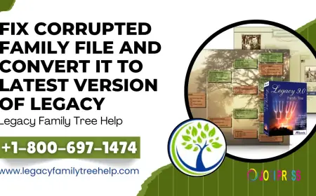 Fix Corrupted Family File and Convert it to Latest Version of Legacy