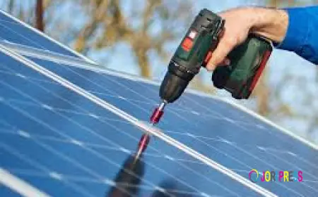 How Do Solar Incentives Impact Long-Term Energy Savings?