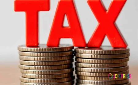 Not Just Any Legal Consultant in Dwarka — Your Legal Partner