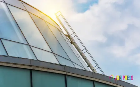 Green House Solar Control Launches Professional Home Window Tinting Service in Houston