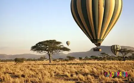 Celebrate Luxury Travel with African Travel Gateway’s 30-Year Legacy