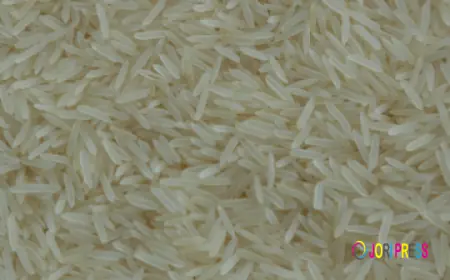 Muskan Overseas: A Reliable Basmati Rice Exporter in India