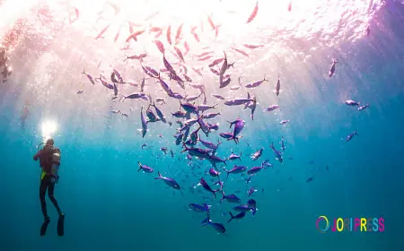 Adventure Activities in Maldives Beyond Beaches