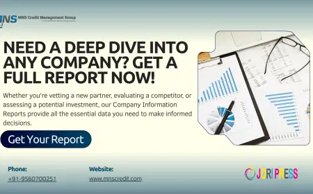 Due Diligence Report: Meaning, Importance, Types, and How It Helps Businesses Make Better Decisions