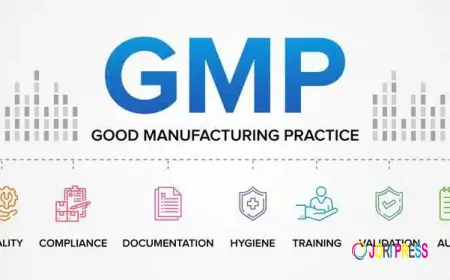 Third-Party GMP Audits: Benefits & When to Use Them