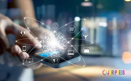 Understanding the Role of an Organic Social Media Agency