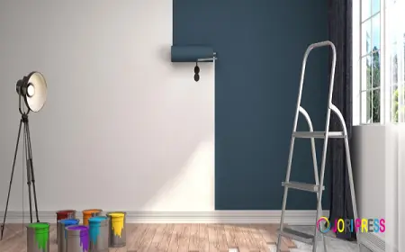 Custom Painting of Asheville INC Sets New Standards in Interior Painting Across Asheville, NC