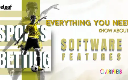Everything You Need to Know About Sports Betting Software Features