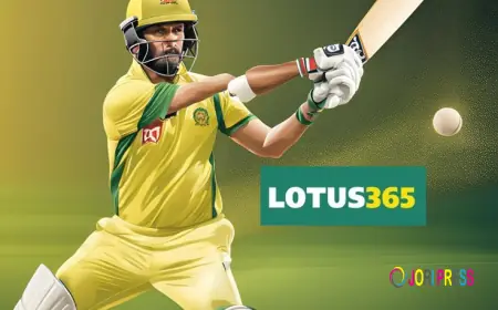 Lotus365 App Download for Android – Easy Steps for Indian Users
