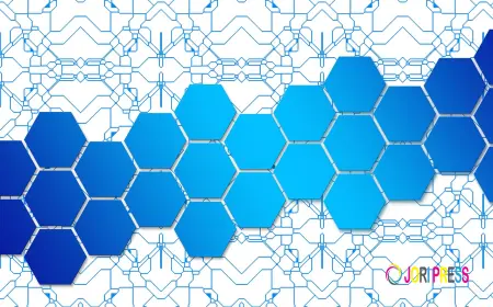 Play Place Calgary: A Trusted Guide for Families